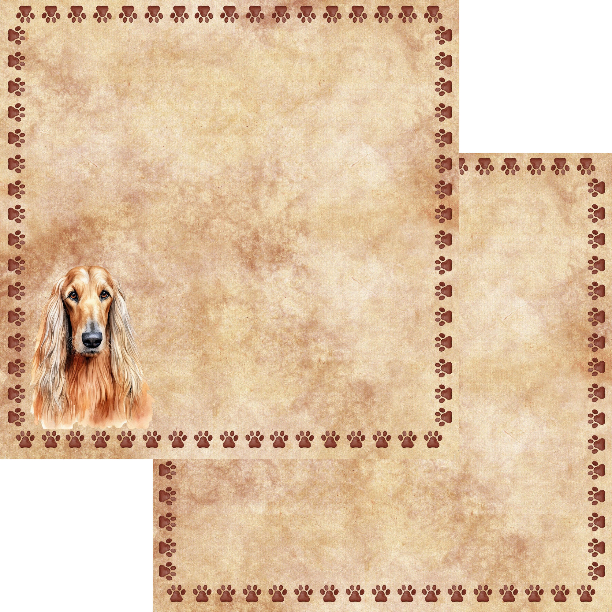 Dog Breeds Collection Afghan Hound 12 x 12 Double-Sided Scrapbook Paper by SSC Designs