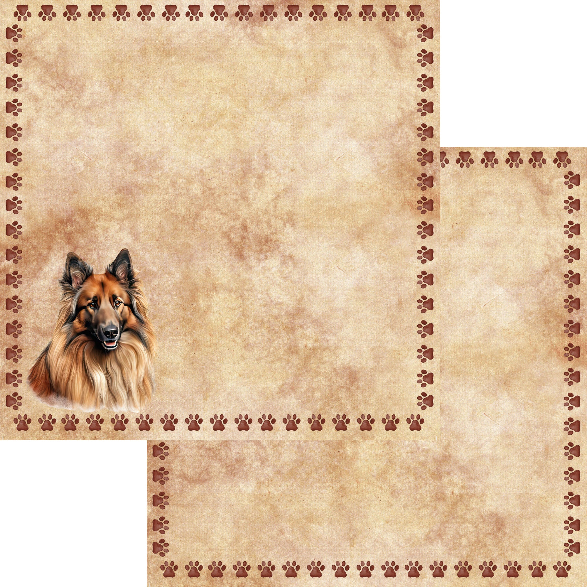 Dog Breeds Collection Belgian Shepherd 12 x 12 Double-Sided Scrapbook Paper by SSC Designs