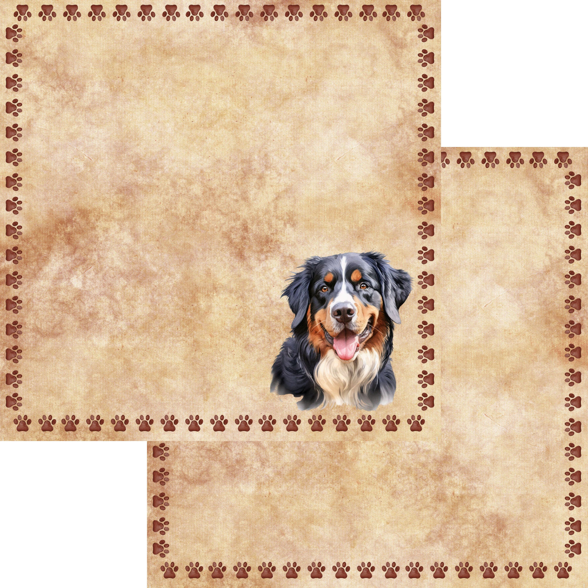 Dog Breeds Collection Bernese Mountain Dog 12 x 12 Double-Sided Scrapbook Paper by SSC Designs