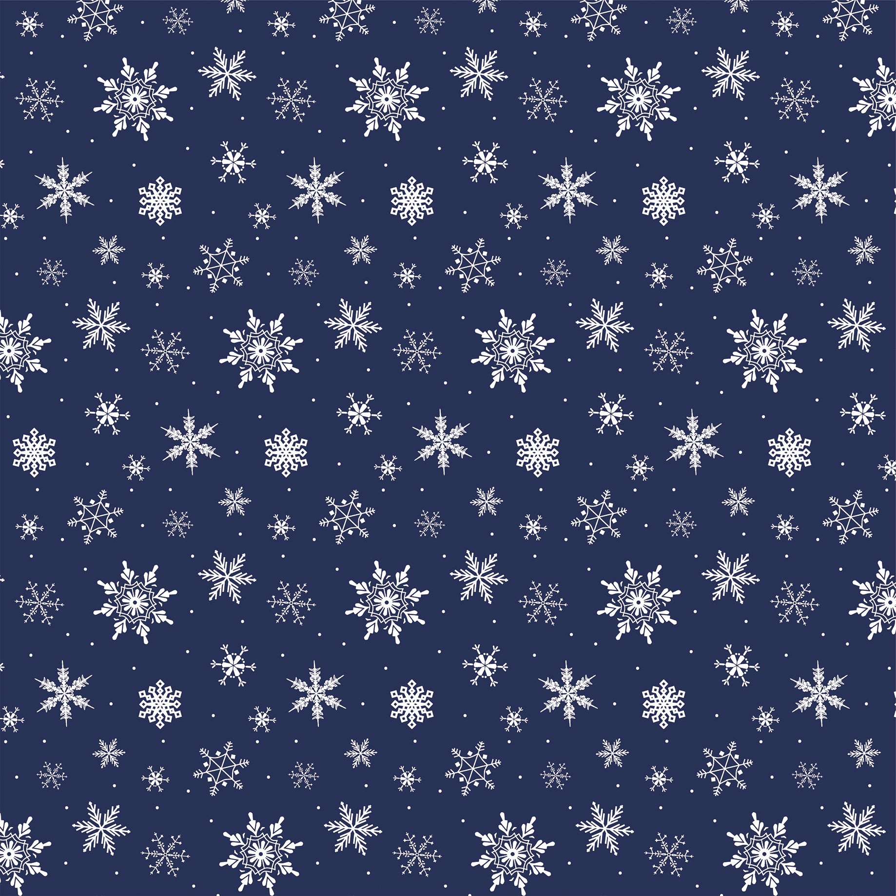 Wintertime Collection 4x4 Journaling Cards 12 x 12 Double-Sided Scrapbook Paper by Carta Bella