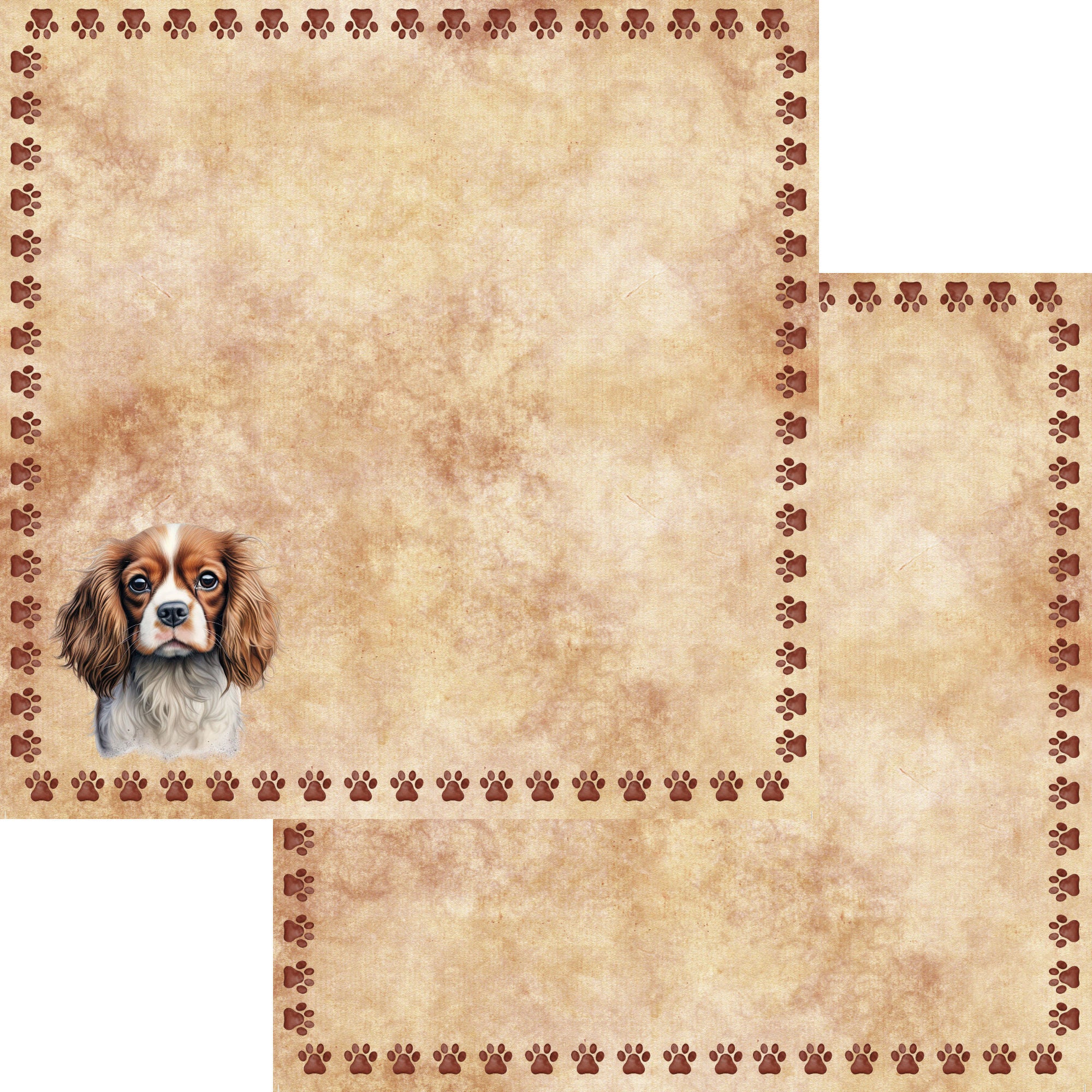 Dog Breeds Collection Cavalier King Charles Spaniel 12 x 12 Double-Sided Scrapbook Paper by SSC Designs