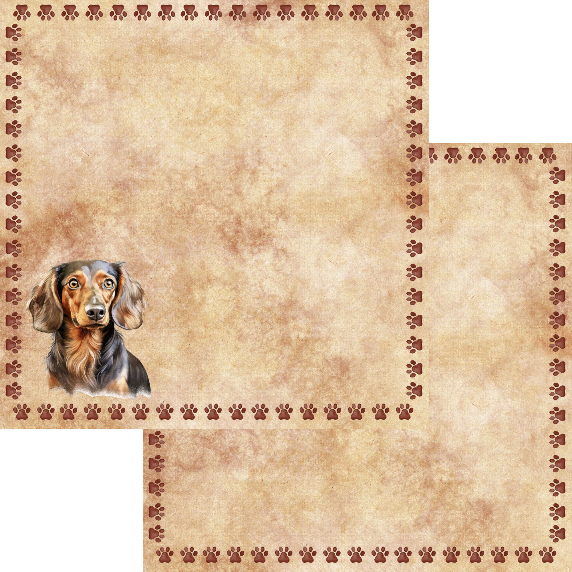 Dog Breeds Collection Dachshund 12 x 12 Double-Sided Scrapbook Paper by SSC Designs
