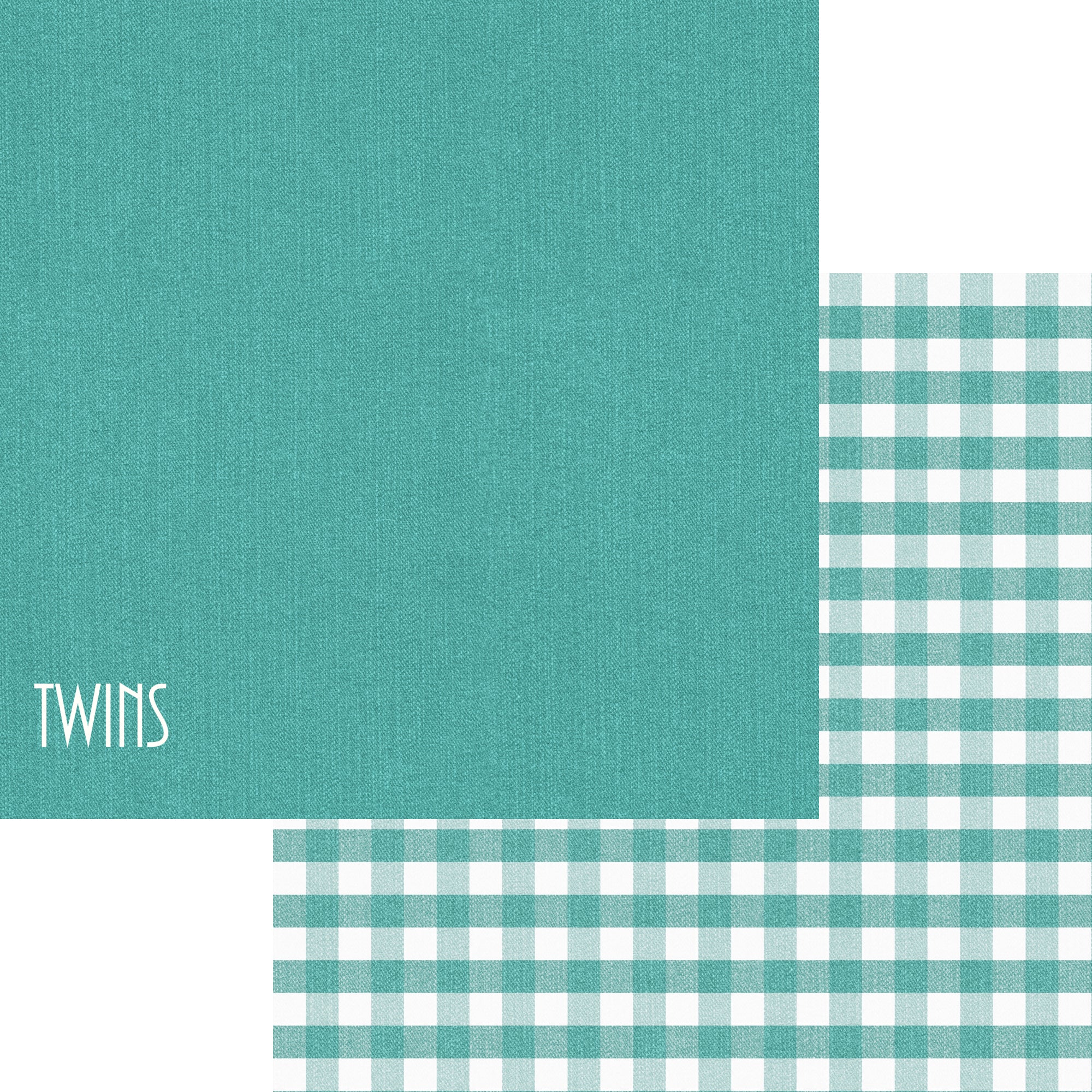 Family Collection Twins 12 x 12 Double-Sided Scrapbook Paper by SSC Designs