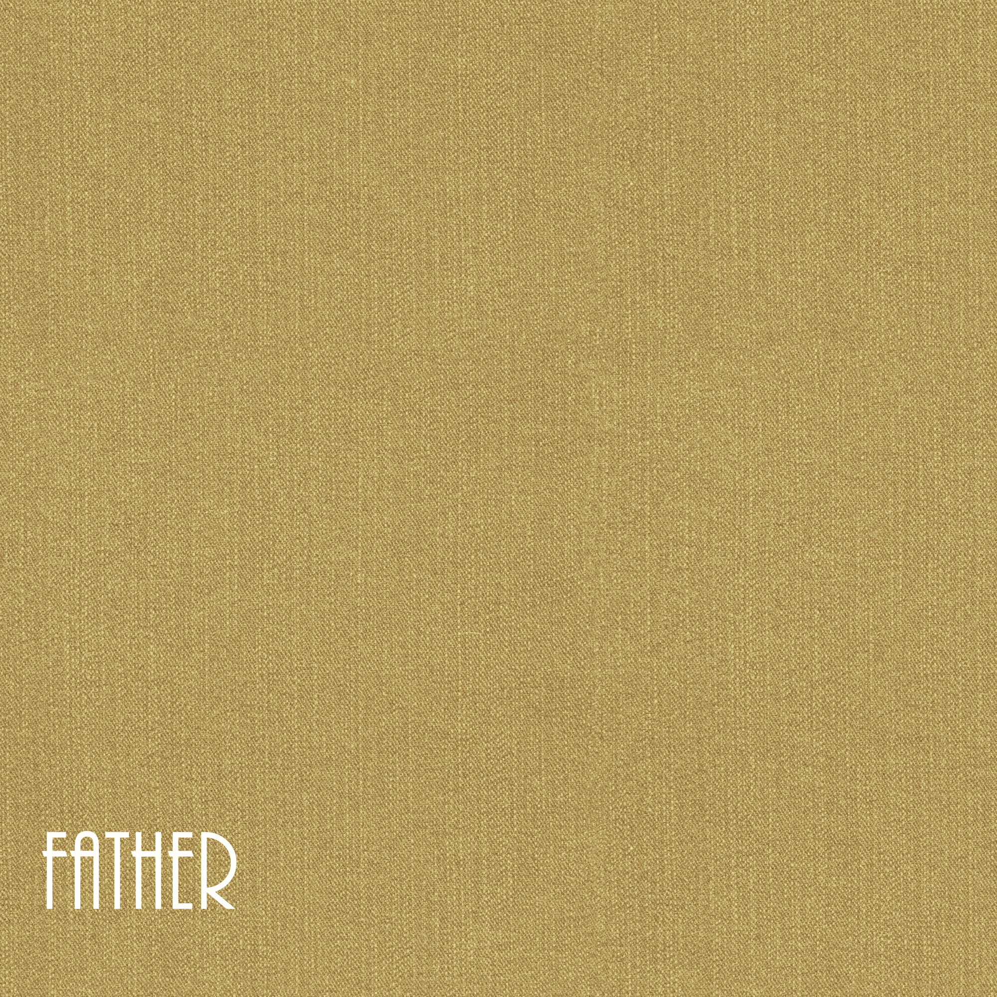 Family Collection Father 12 x 12 Double-Sided Scrapbook Paper by SSC Designs