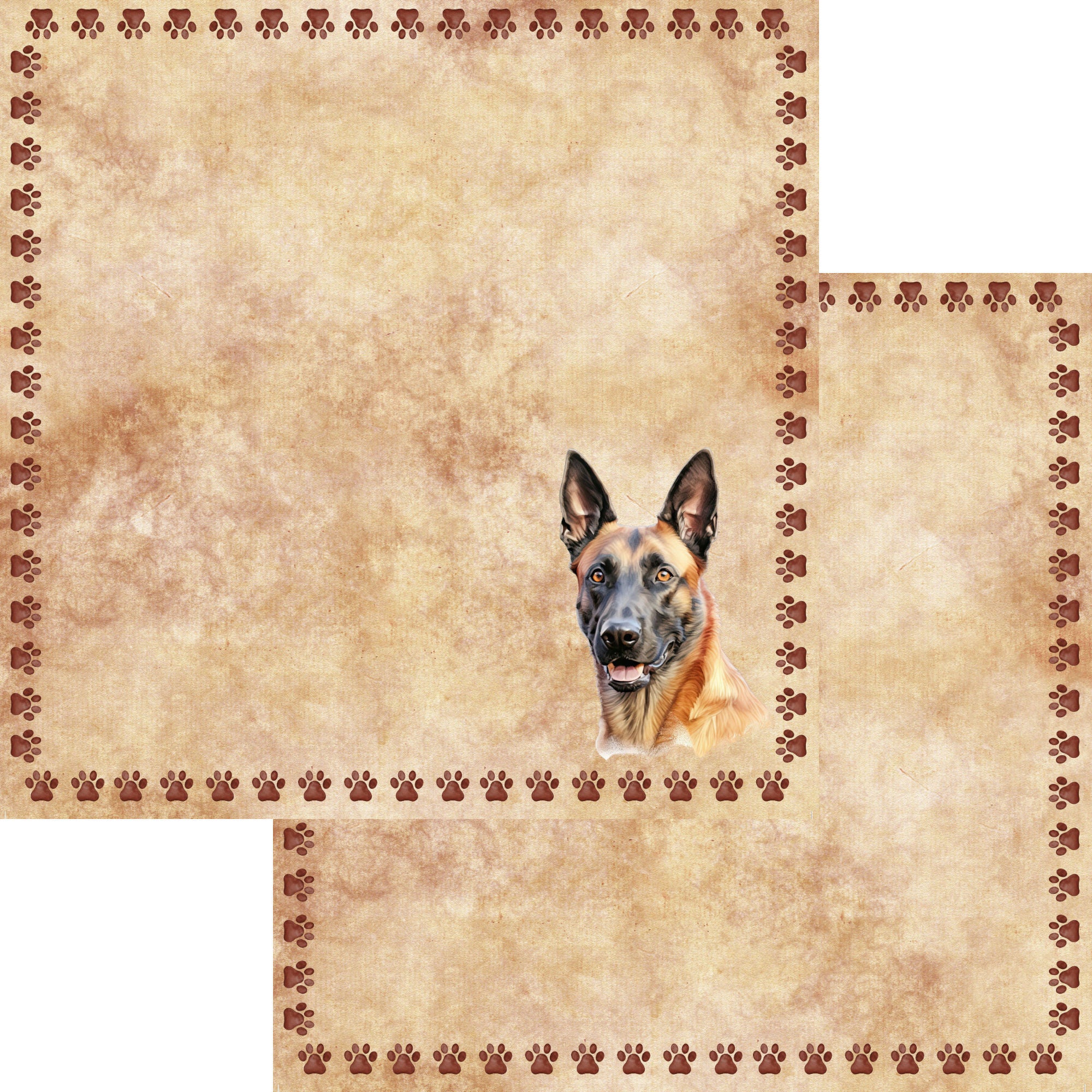 Dog Breeds Collection Belgian Malinois 12 x 12 Double-Sided Scrapbook Paper by SSC Designs