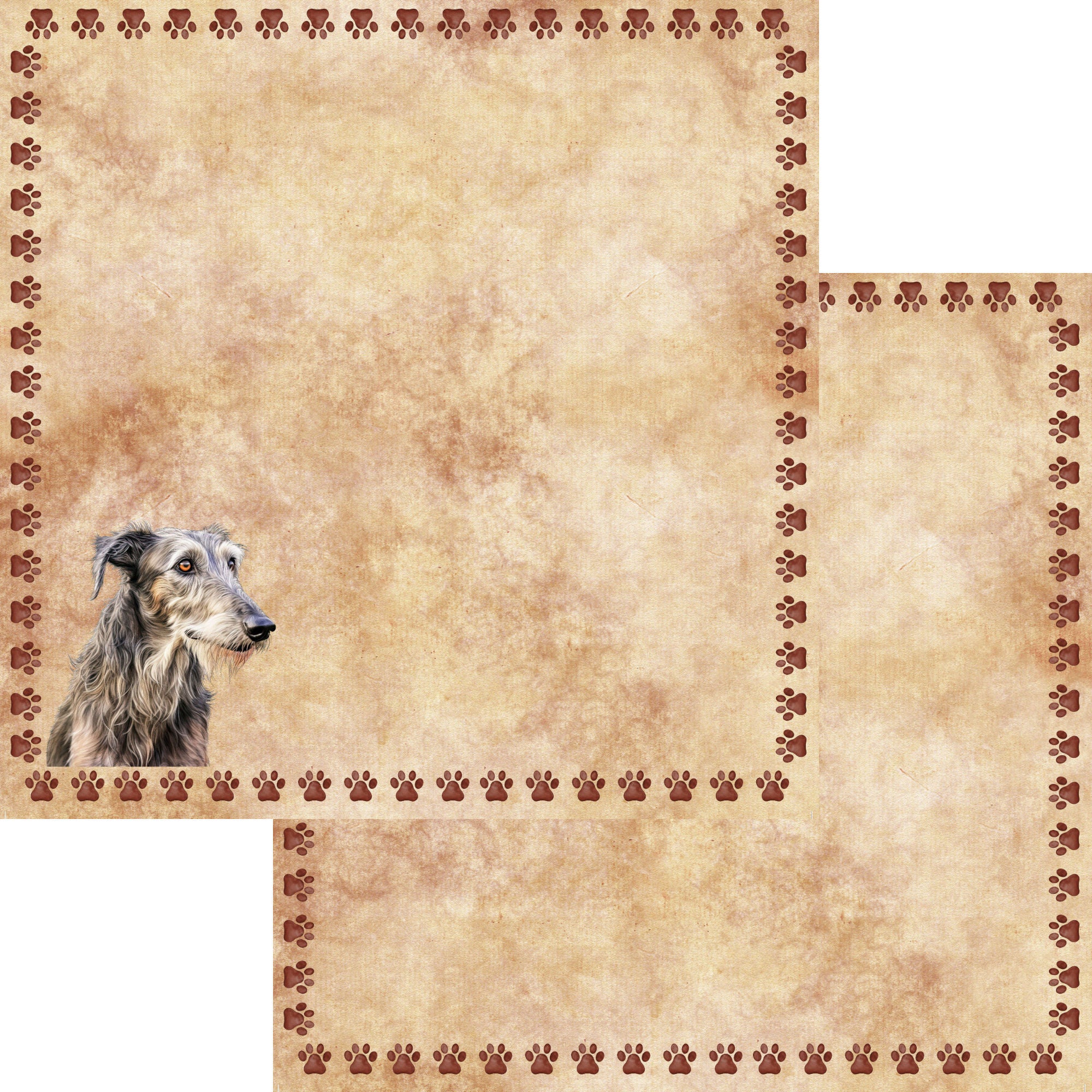 Dog Breeds Collection Irish Wolfhound 12 x 12 Double-Sided Scrapbook Paper by SSC Designs