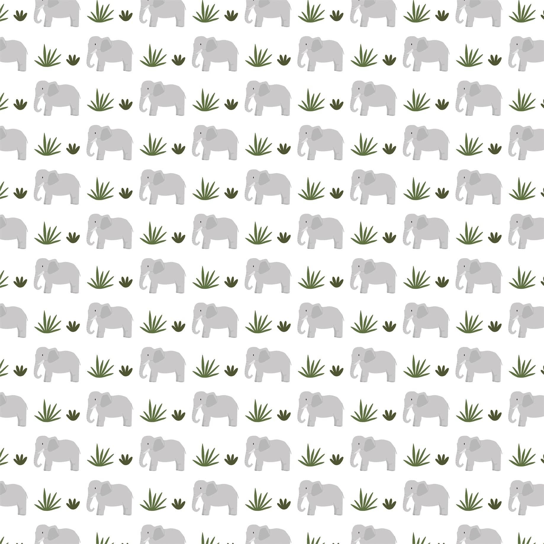 Little Explorer Collection Exploring Elephants 12 x 12 Double-Sided Scrapbook Paper by Echo Park Paper - Scrapbook Supply Companies