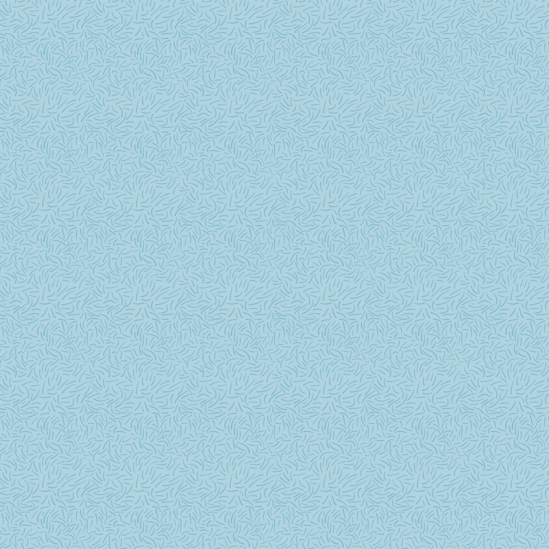 Stars and Stripes Forever Collection Life And Liberty 12 x 12 Double-Sided Scrapbook Paper by Echo Park Paper