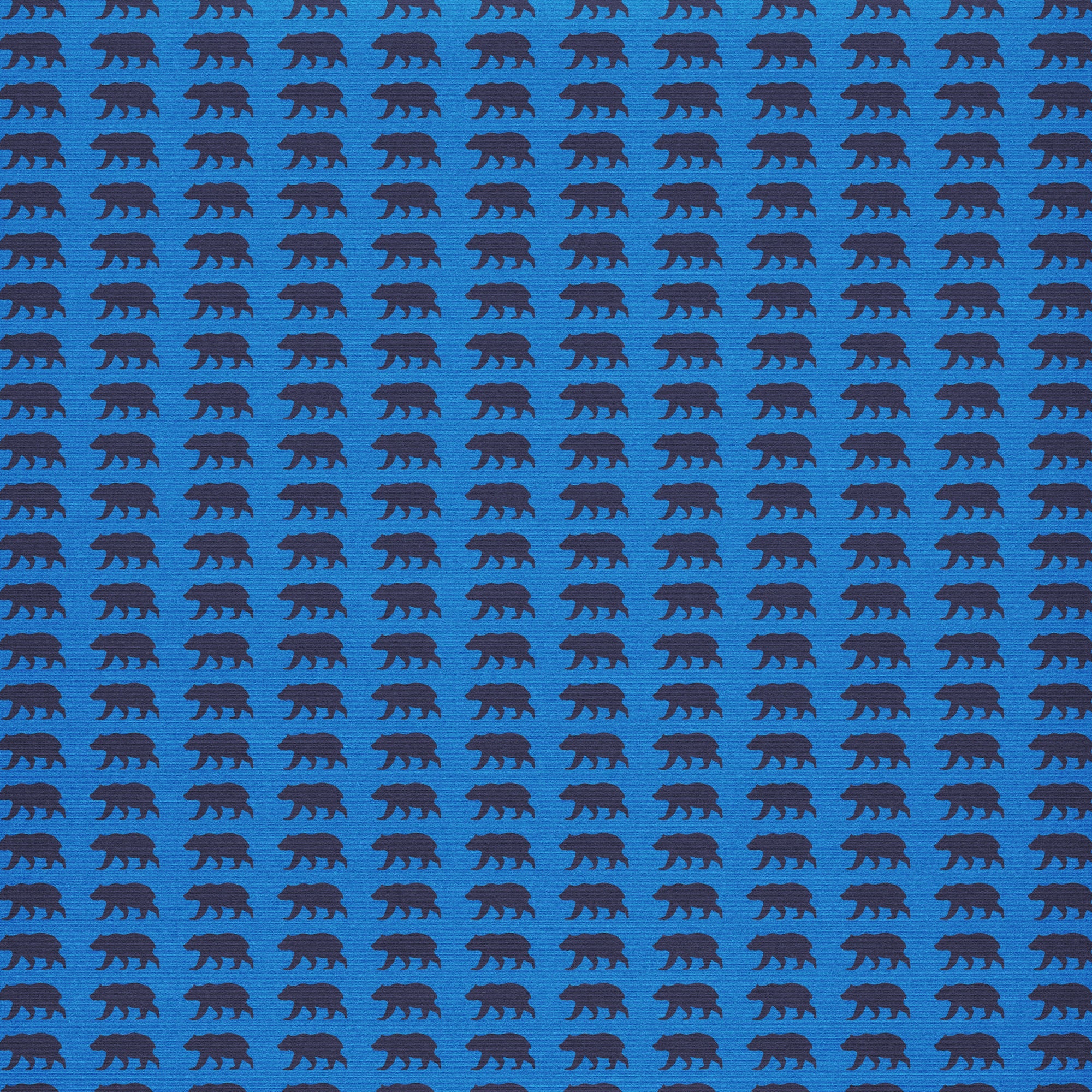 Tennessee Collection Great Outdoors 12 x 12 Double-Sided Scrapbook Paper by SSC Designs