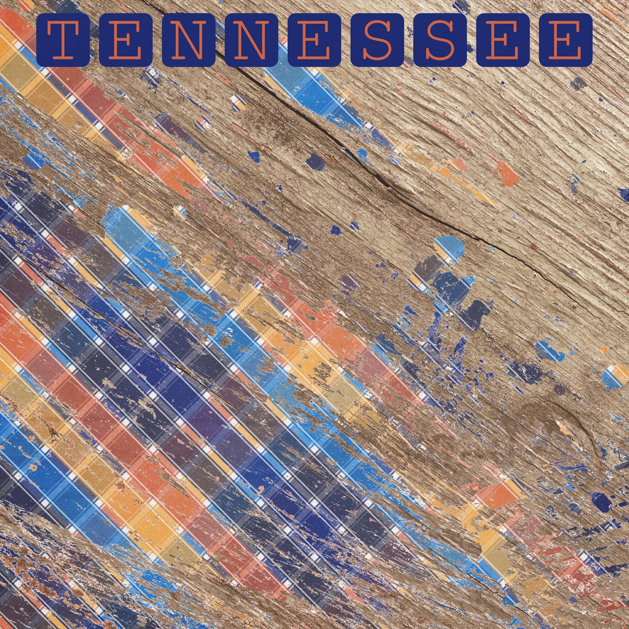 Tennessee Collection Tennessee Wood 12 x 12 Double-Sided Scrapbook Paper by SSC Designs