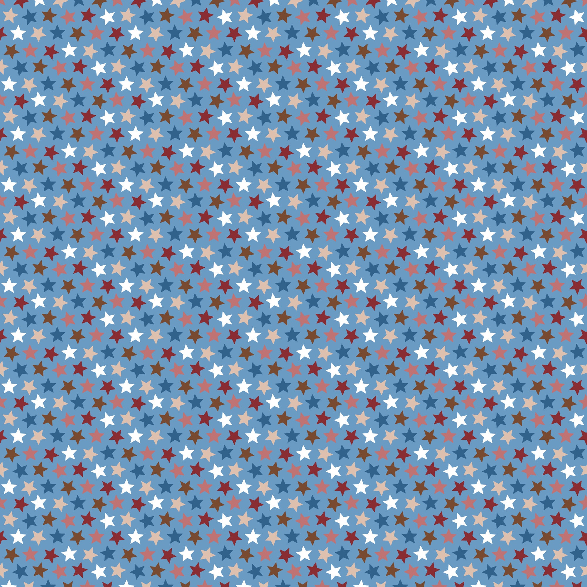 Texas Collection All Around Texas 12 x 12 Double-Sided Scrapbook Paper by SSC Designs