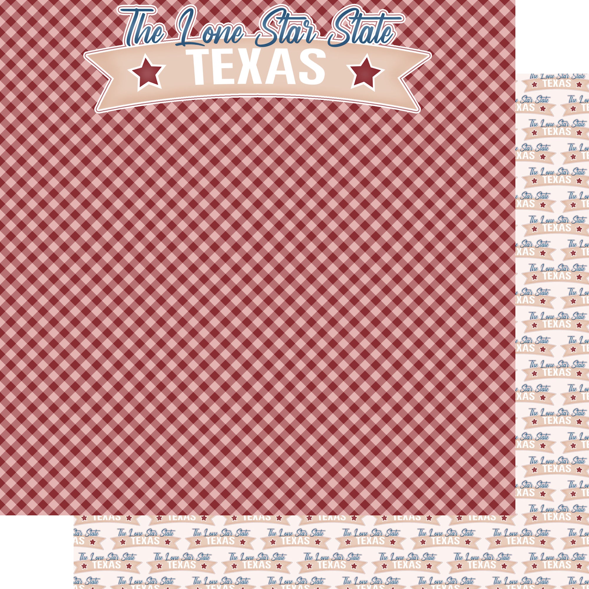 Texas Collection The Lone Star State 12 x 12 Double-Sided Scrapbook Paper by SSC Designs
