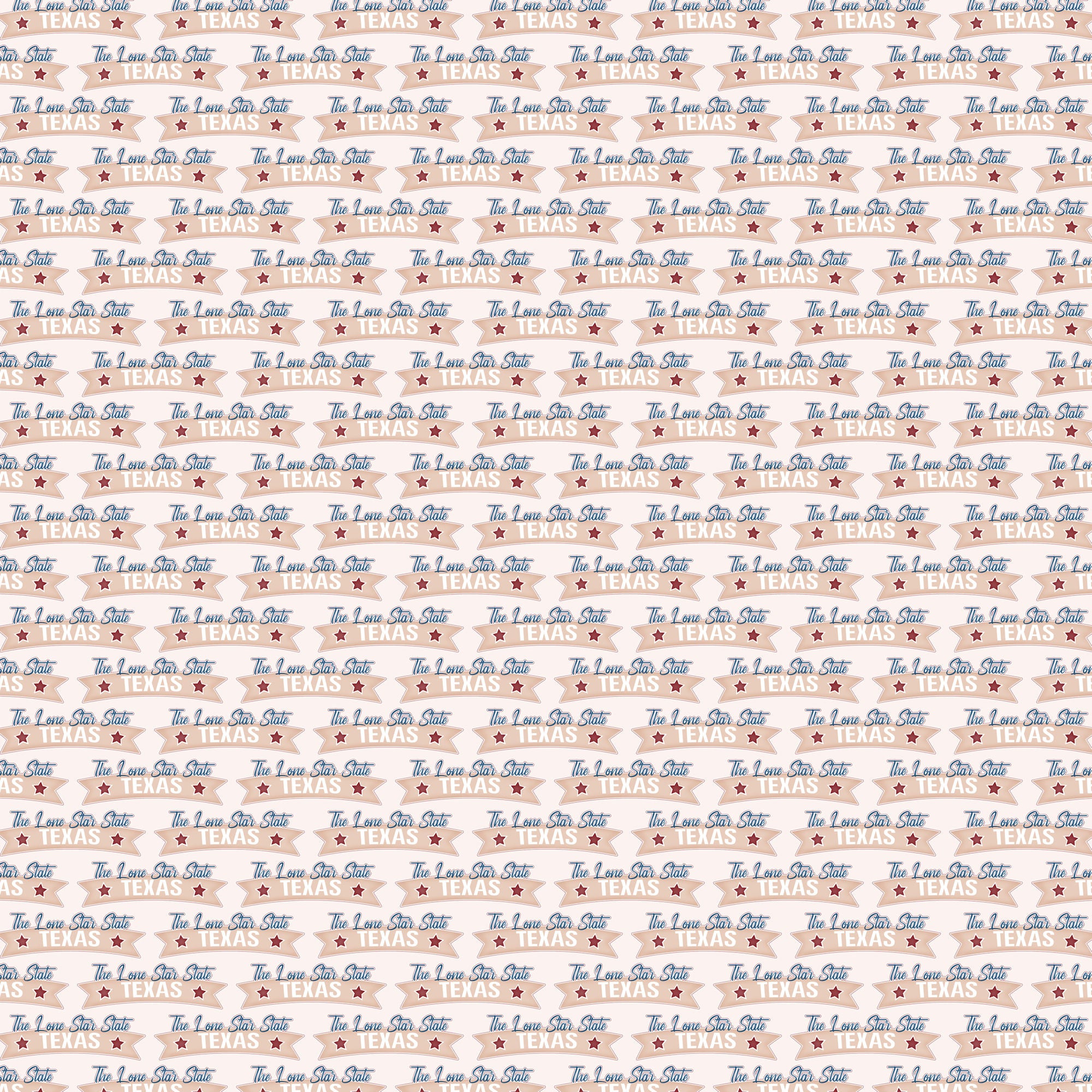 Texas Collection The Lone Star State 12 x 12 Double-Sided Scrapbook Paper by SSC Designs