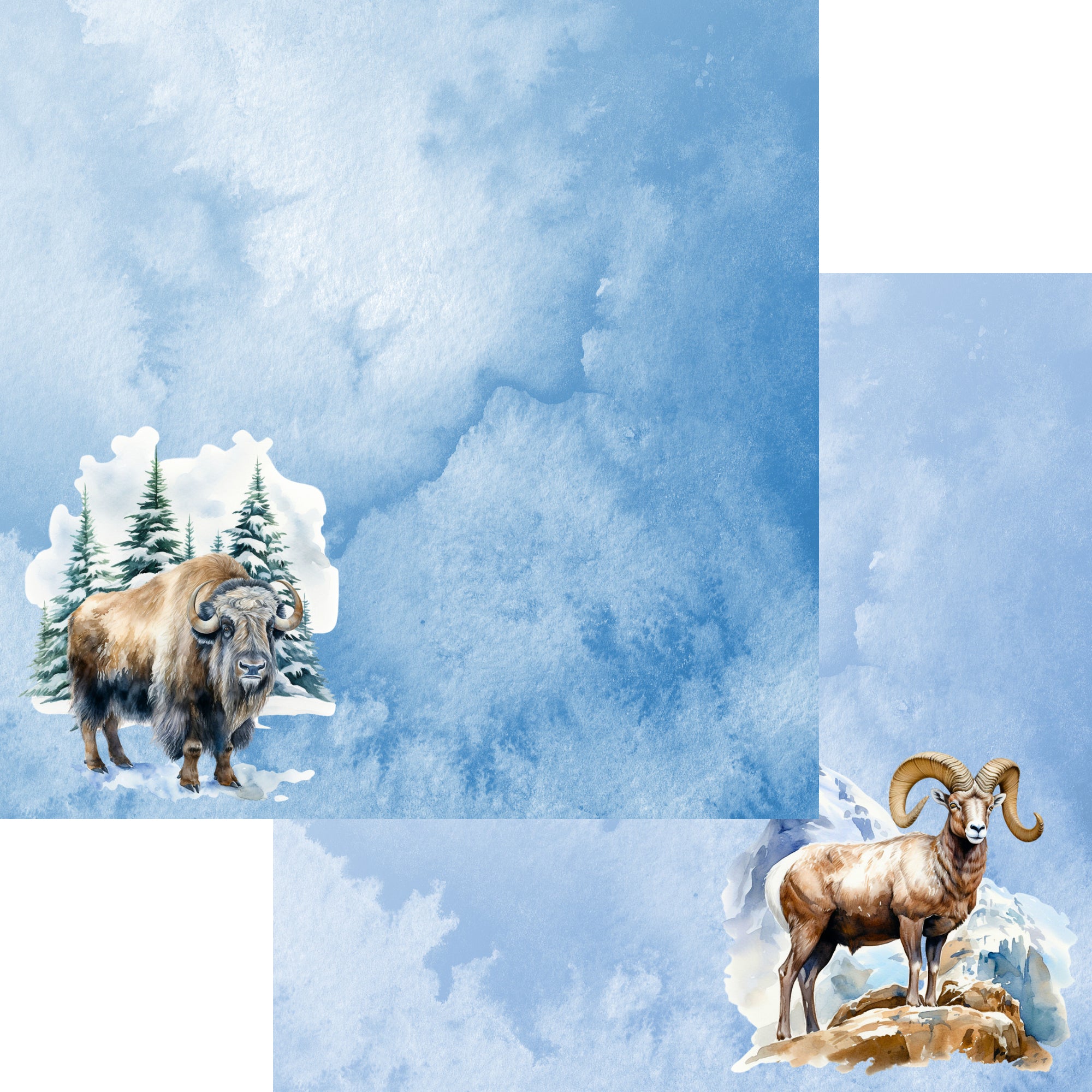 Watercolor Wildlife Collection Bison & Sheep Ram 12 x 12 Double-Sided Scrapbook Paper by SSC Designs