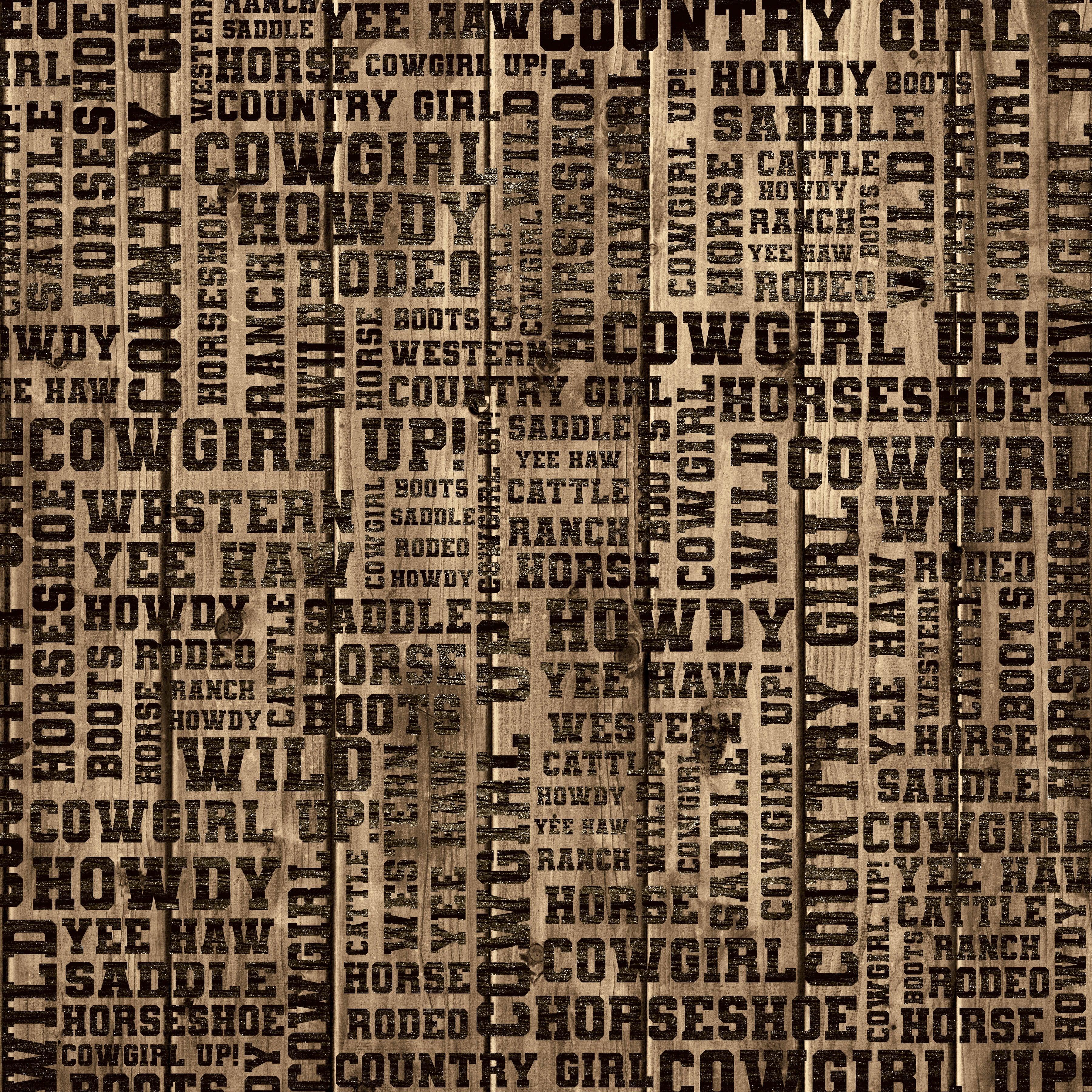 Cowgirls Collection Hot Horseshoe 12 x 12 Double-Sided Scrapbook Paper by SSC Designs