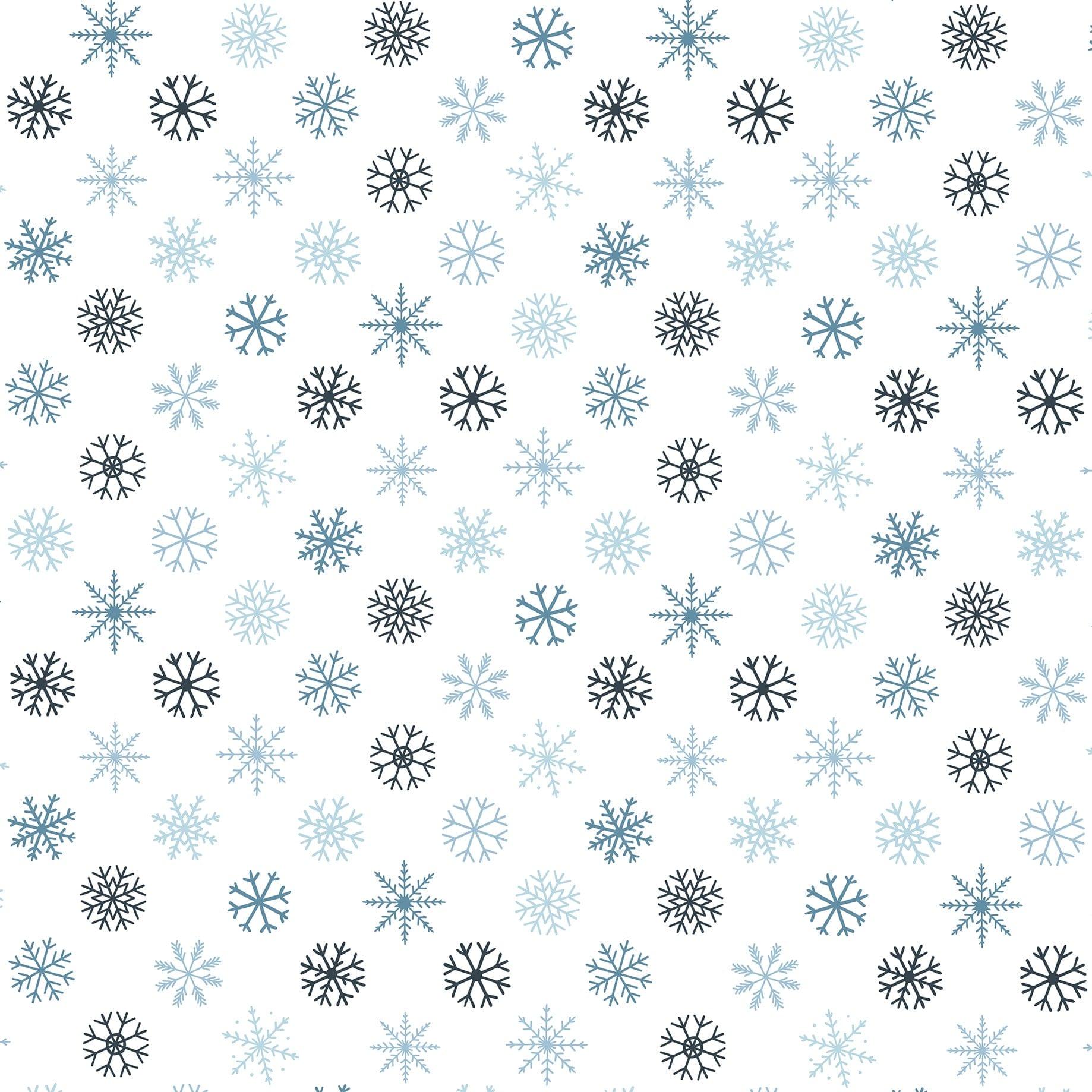 The Magic of Winter Collection Winter Garden 12 x 12 Double-Sided Scrapbook Paper by Echo Park Paper - Scrapbook Supply Companies