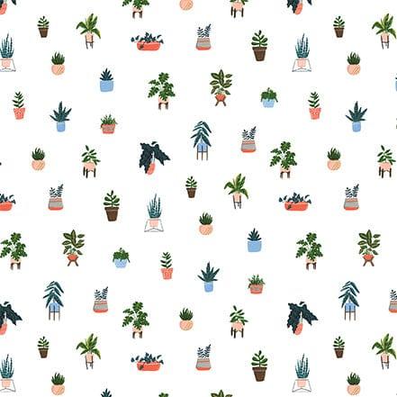 Plant Lady Collection House Plants 12 x 12 Double-Sided Scrapbook Paper by Echo Park Paper - Scrapbook Supply Companies