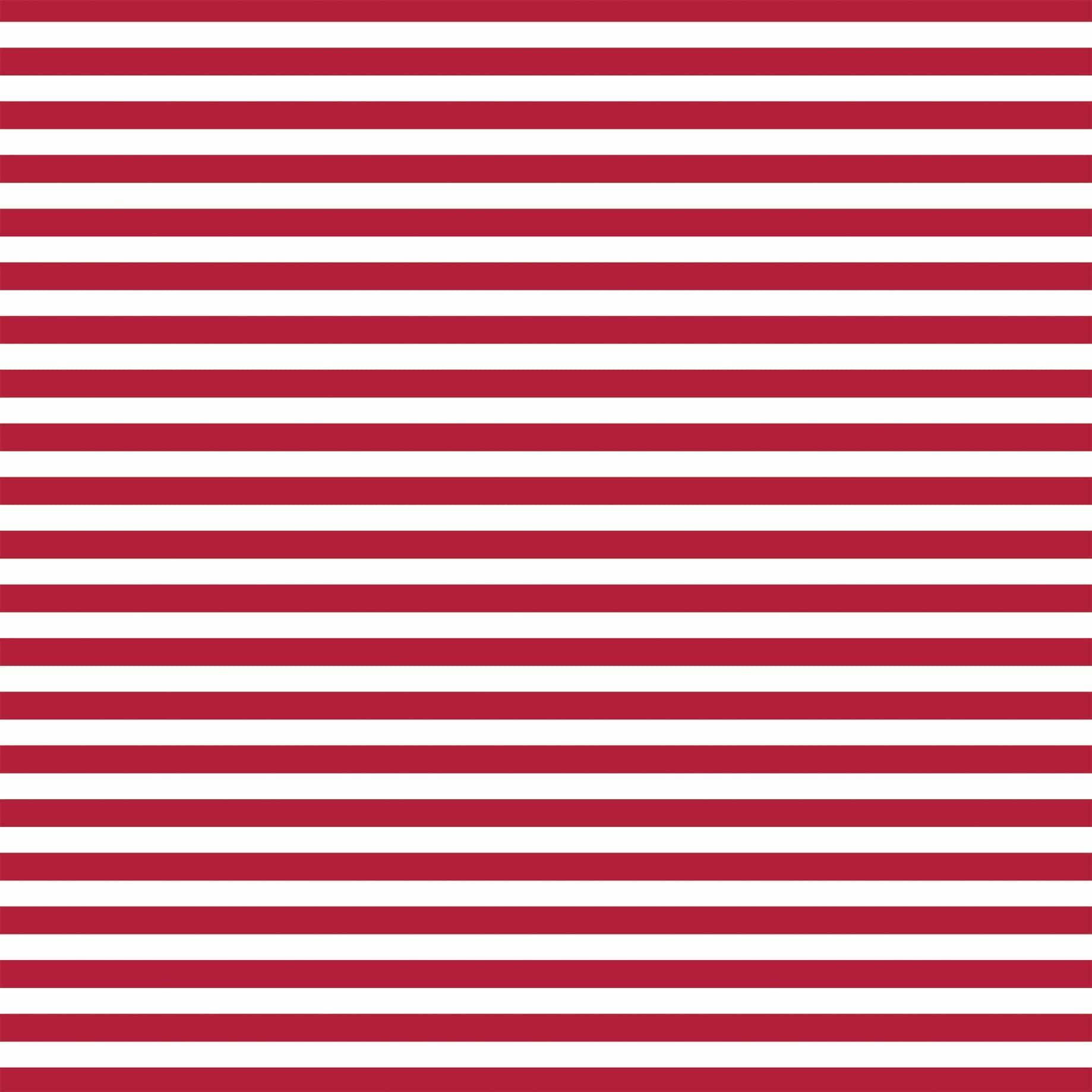 Sea Life Collection 4x4 Journaling Cards 12 x 12 Double-Sided Scrapbook Paper by Echo Park Paper - Scrapbook Supply Companies