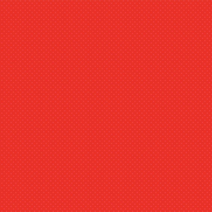 Tulla & Norbert's Excellent Adventure Collection Juicy Watermelon 12 x 12 Double-Sided Scrapbook Paper by Photo Play Paper - Scrapbook Supply Companies