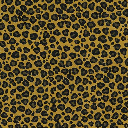 Animal Safari Collection 3 x 4 Journaling Cards 12 x 12 Double-Sided Scrapbook Paper by Echo Park Paper - Scrapbook Supply Companies