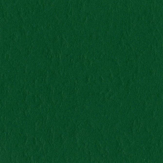Classic Green 12 x 12 Textured Cardstock by Bazzill - Scrapbook Supply Companies