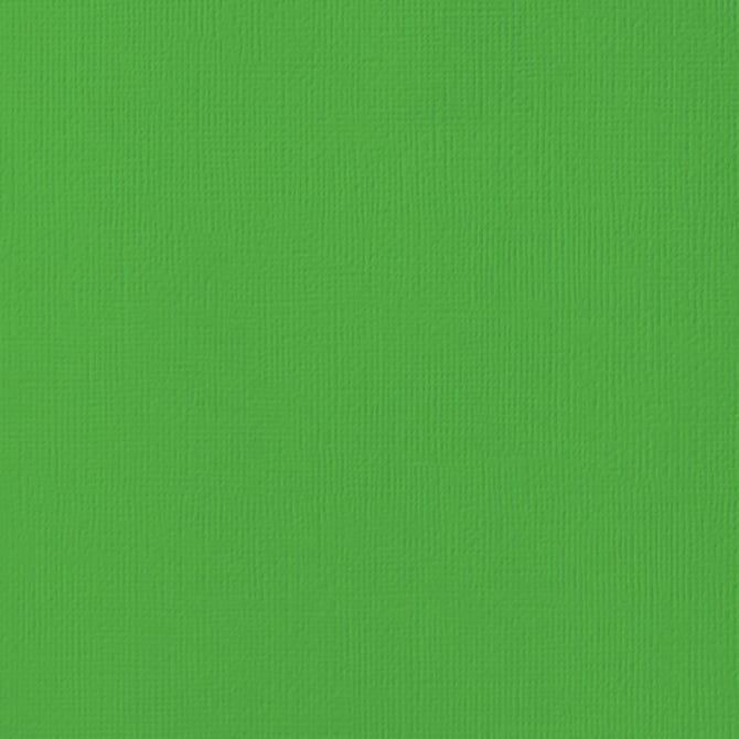 Grass 12 x 12 Textured Cardstock by American Crafts - Scrapbook Supply Companies