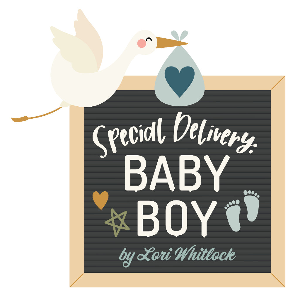 Shop now for Echo Park Paper's Special Delivery Baby Boy collection.