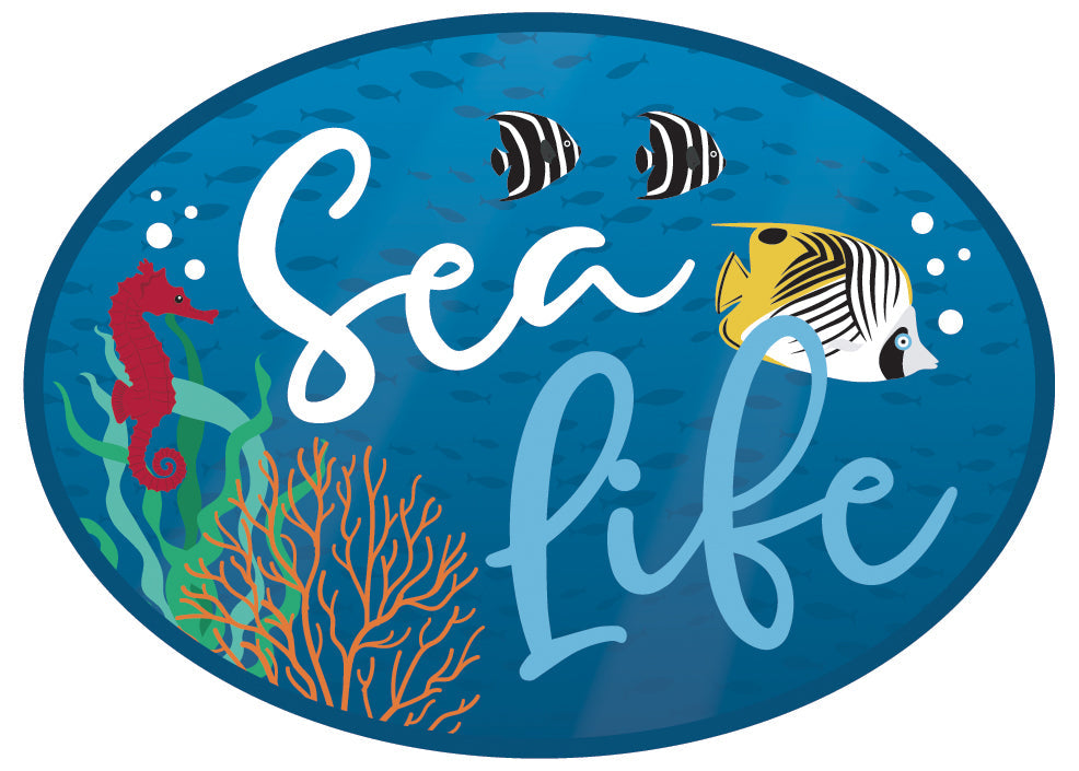 Shop now for Echo Park Paper's Sea Life collection.