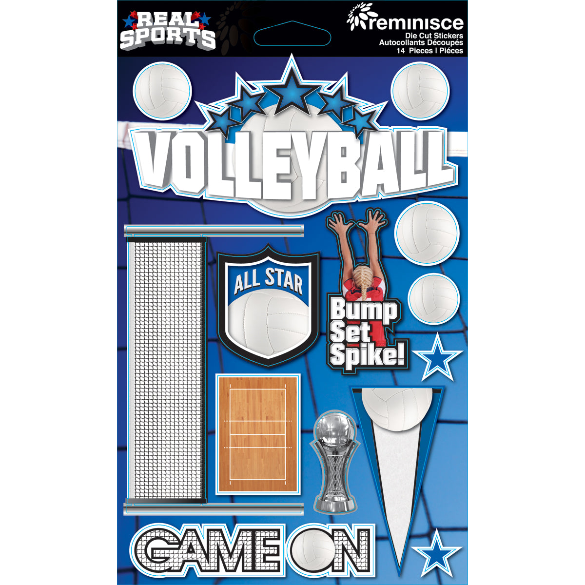 Real Sport Collection Volleyball 5 x 6 Scrapbook Embellishment by Reminisce