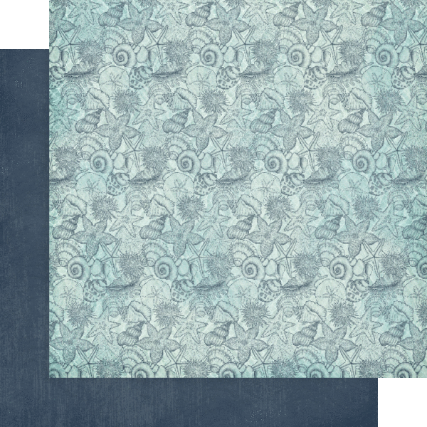 Make A Splash Collection 12 x 12 Patterns & Solids Scrapbook Paper Pack by Graphic 45