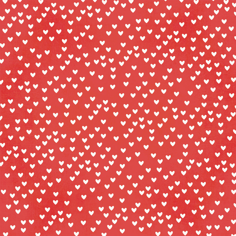 Say Cheese Magic Collection Yoo Hoo! 12 x 12 Double-Sided Scrapbook Paper by Simple Stories