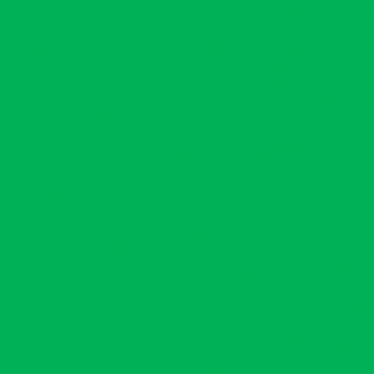 Core Foundations Collection Primary Green Smooth 12 x 12 Cardstock by Core'dinations