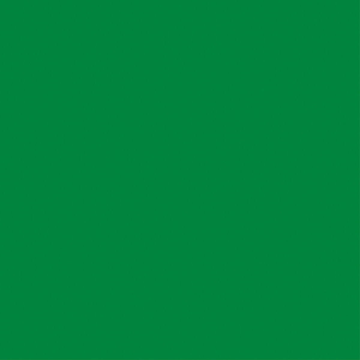 Core Foundations Collection Jolly Green Smooth 12 x 12 Cardstock by Core'dinations