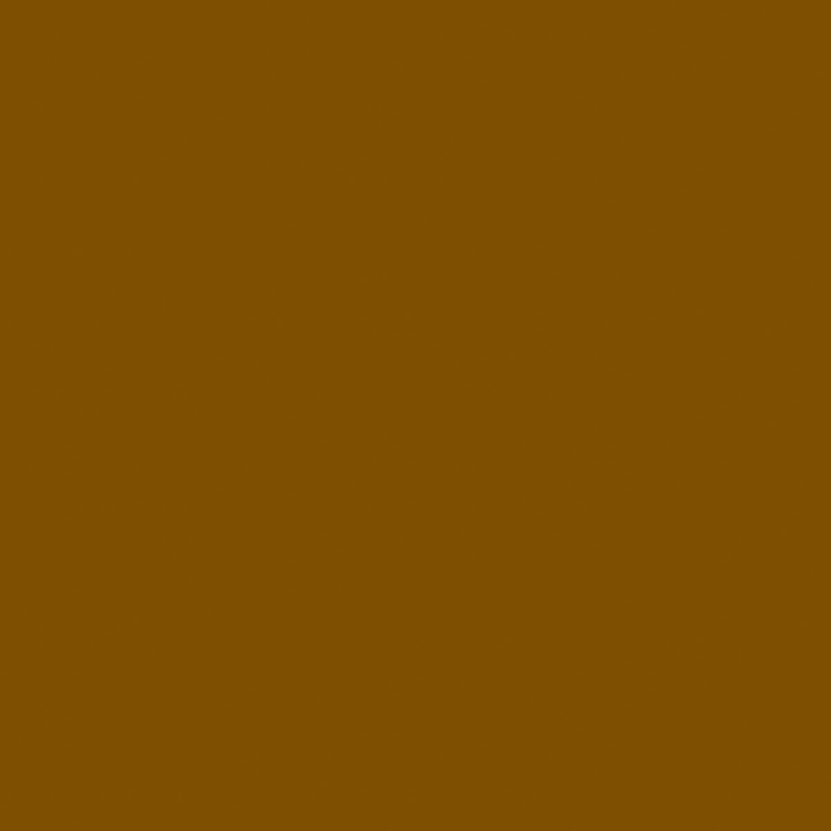 Core Foundations Collection Smooth Mocha Divine 12 x 12 Cardstock by Core'dinations