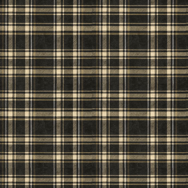Graduation Collection Senior Plaid 12 x 12 Double-Sided Scrapbook Paper by Scrapbook Customs