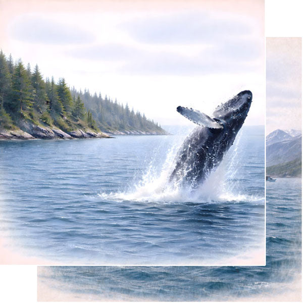 Scenic Alaska Collection Whale Watching 12 x 12 Double-Sided Scrapbook Paper by Scrapbook Customs
