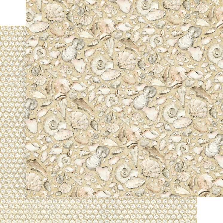 The Beach is Calling Collection Every Seashell Has A Story 12 x 12 Double-Sided Scrapbook Paper by Graphic 45