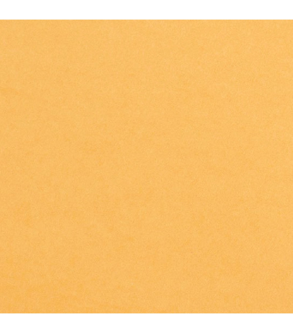 Core Foundations Collection Tiger Smooth 12 x 12 Cardstock by Core'dinations