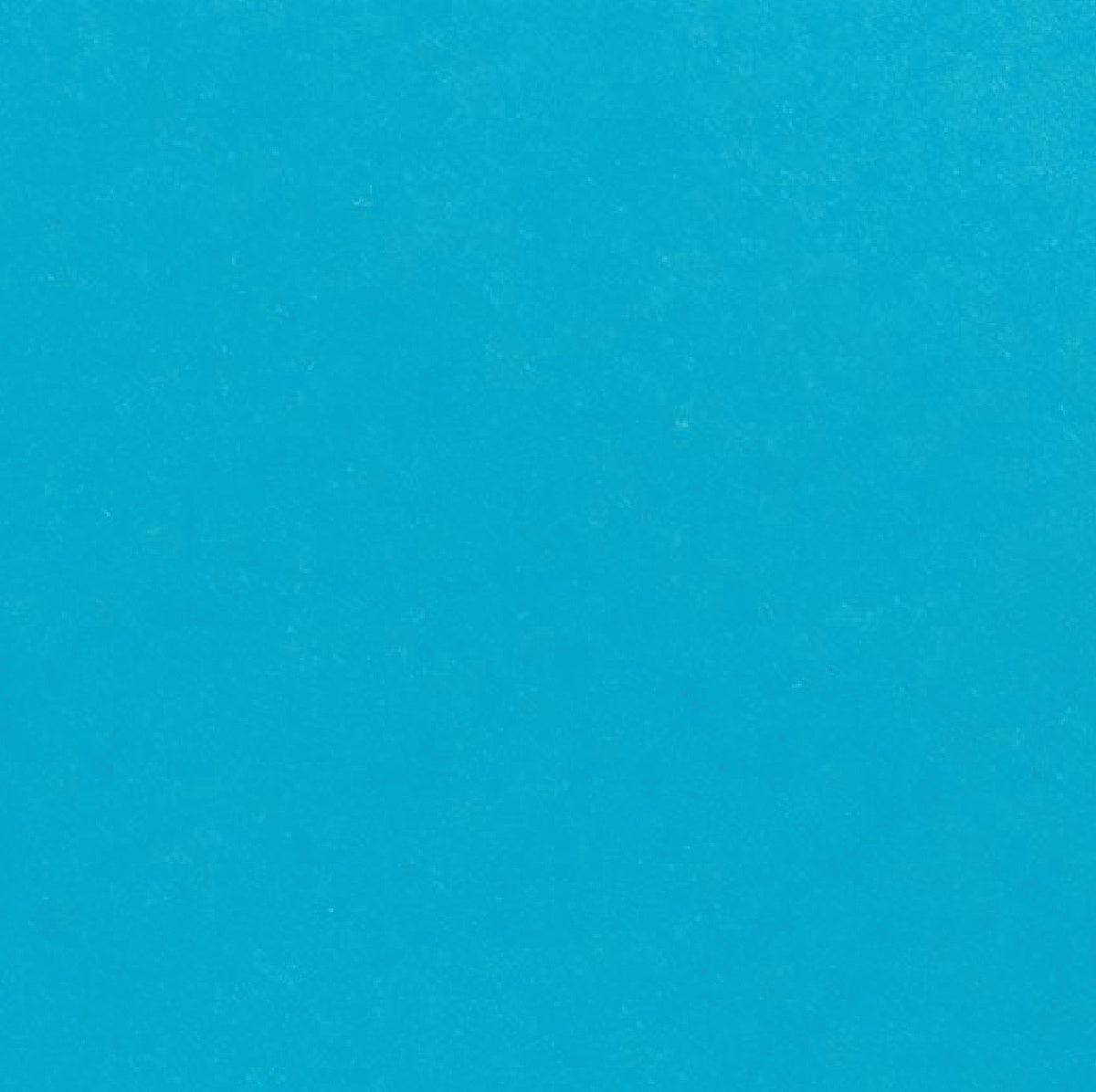 Core Foundations Collection Citrus Teal Smooth 12 x 12 Cardstock by Core'dinations