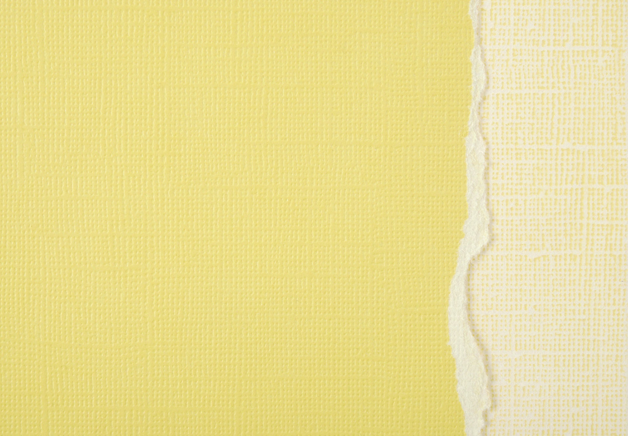 Sandable Cardstock Collection Tulip 12 x 12 Scrapbook Cardstock by Core'dinations