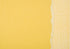 Sandable Cardstock Collection Imperial 12 x 12 Scrapbook Cardstock by Core'dinations