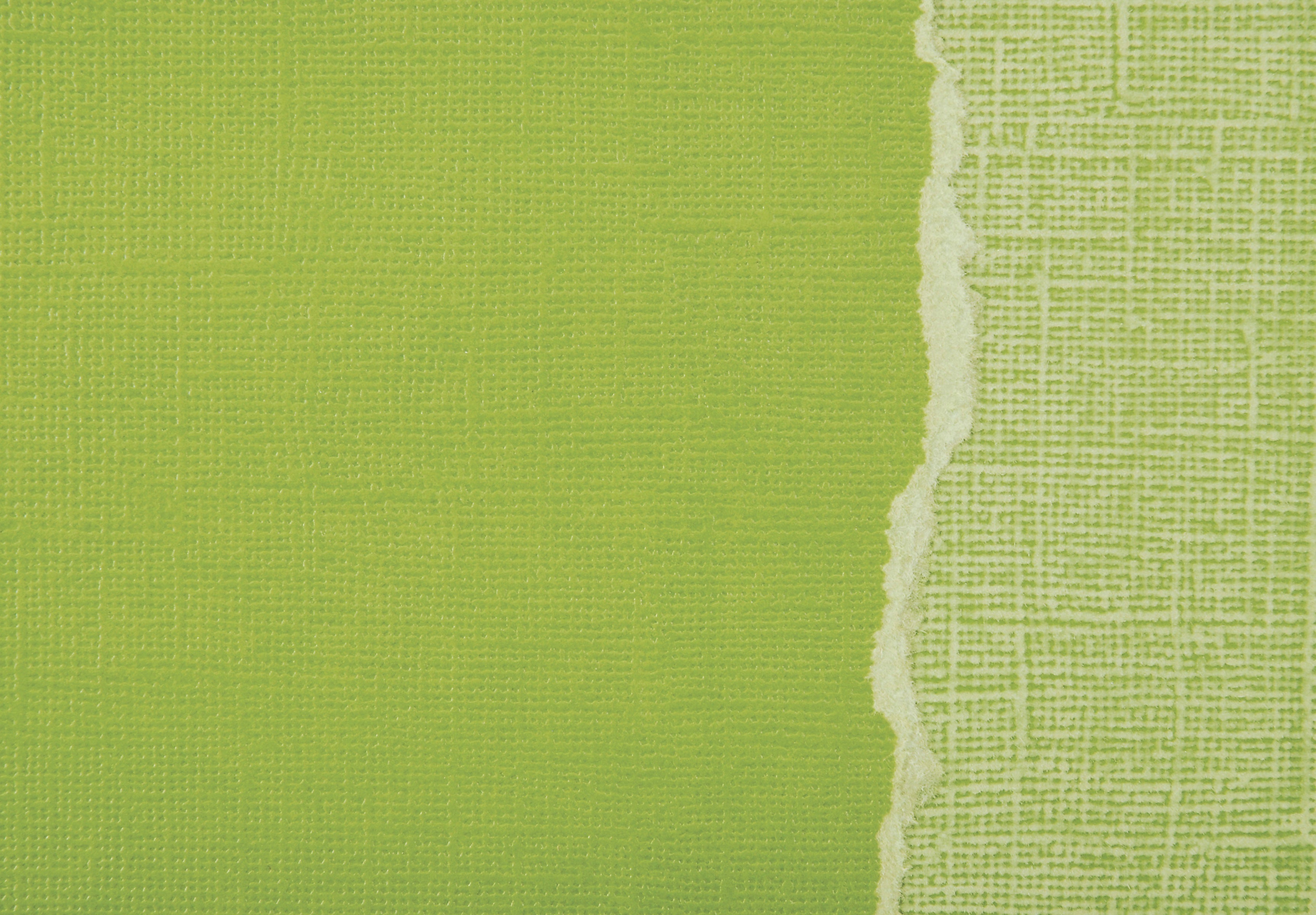 Sandable Cardstock Collection Meadow 12 x 12 Scrapbook Cardstock by Core'dinations