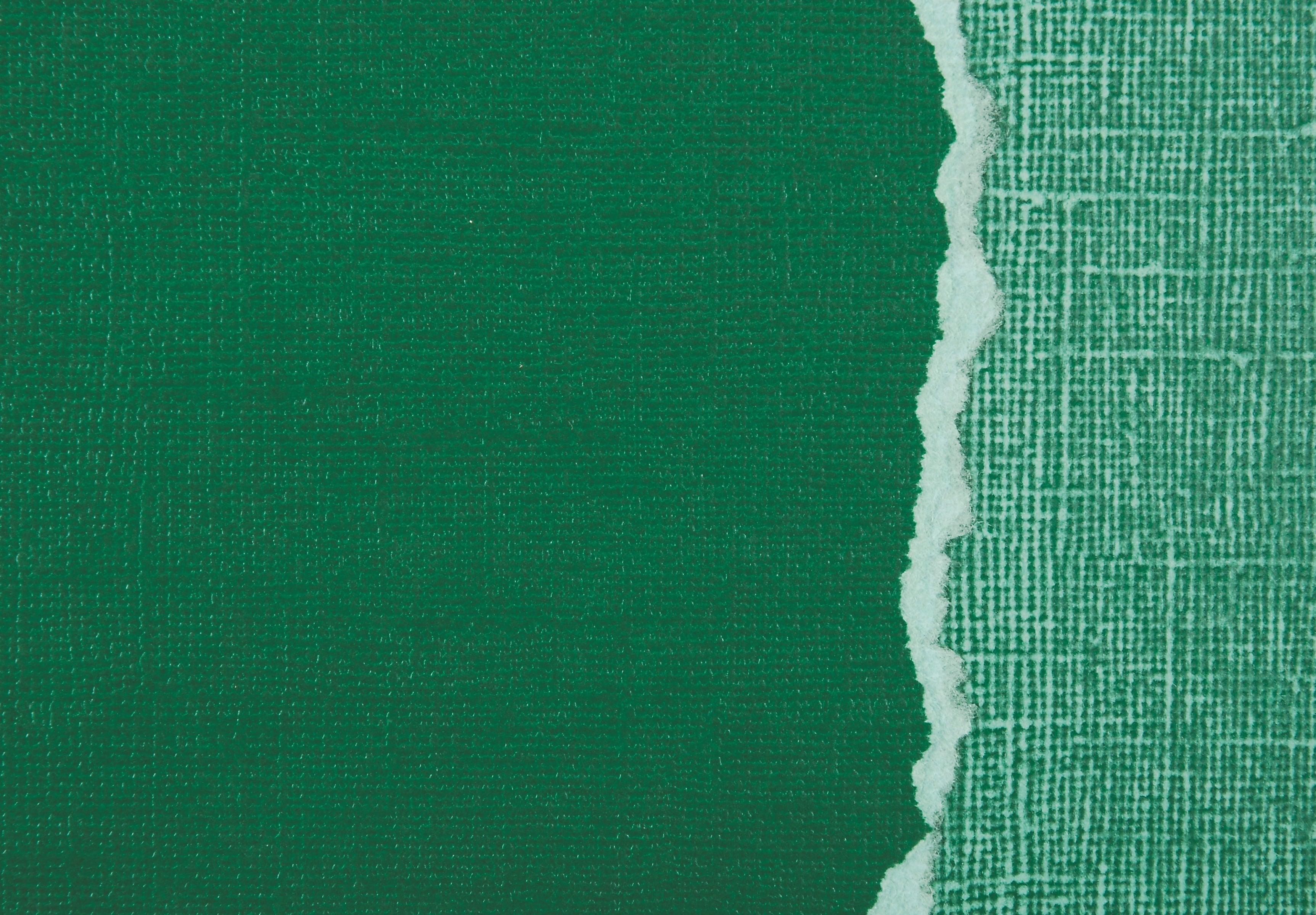 Sandable Cardstock Collection Shamrock 12 x 12 Scrapbook Cardstock by Core'dinations