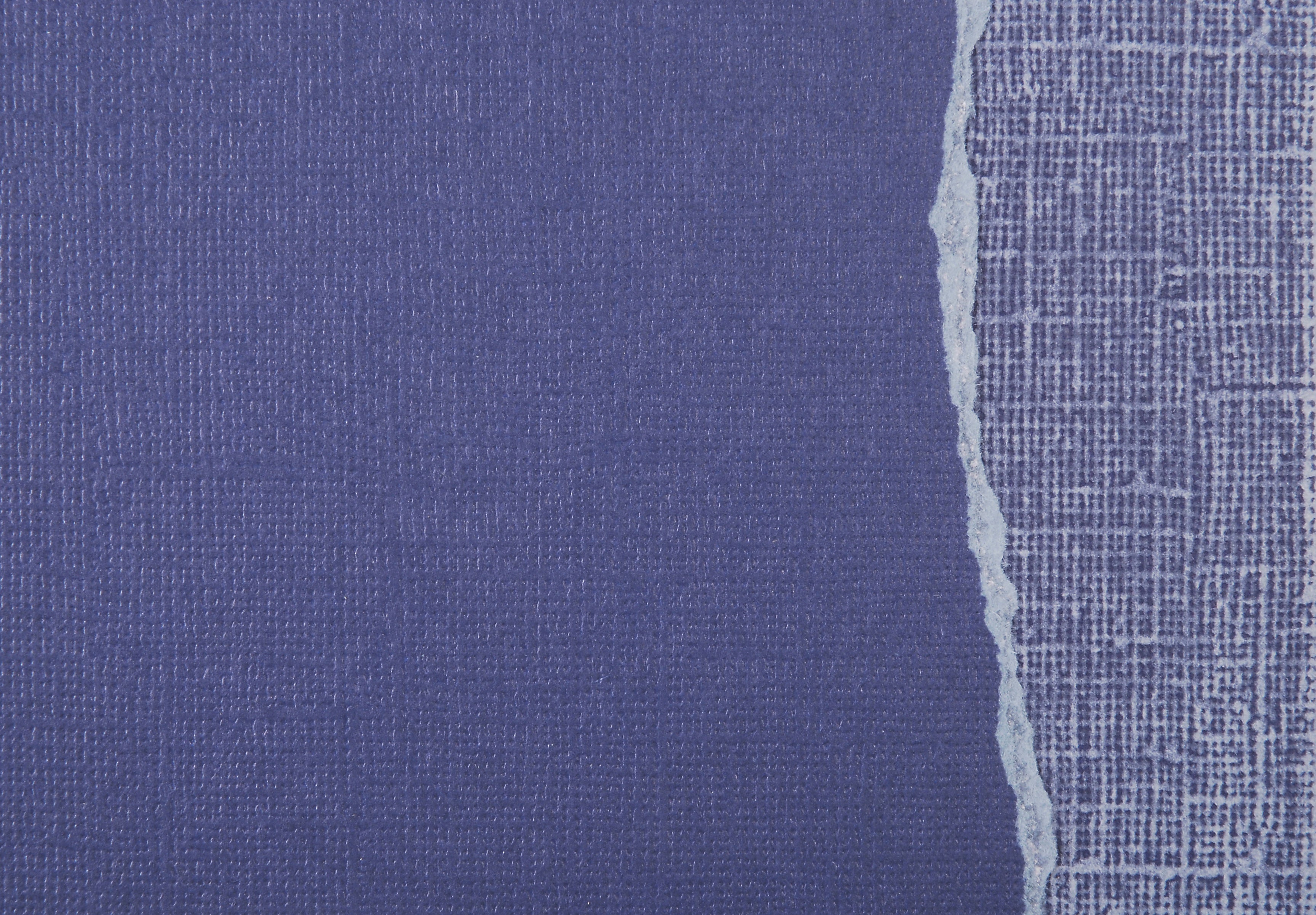 Sandable Cardstock Collection Blue Iris 12 x 12 Scrapbook Cardstock by Core'dinations