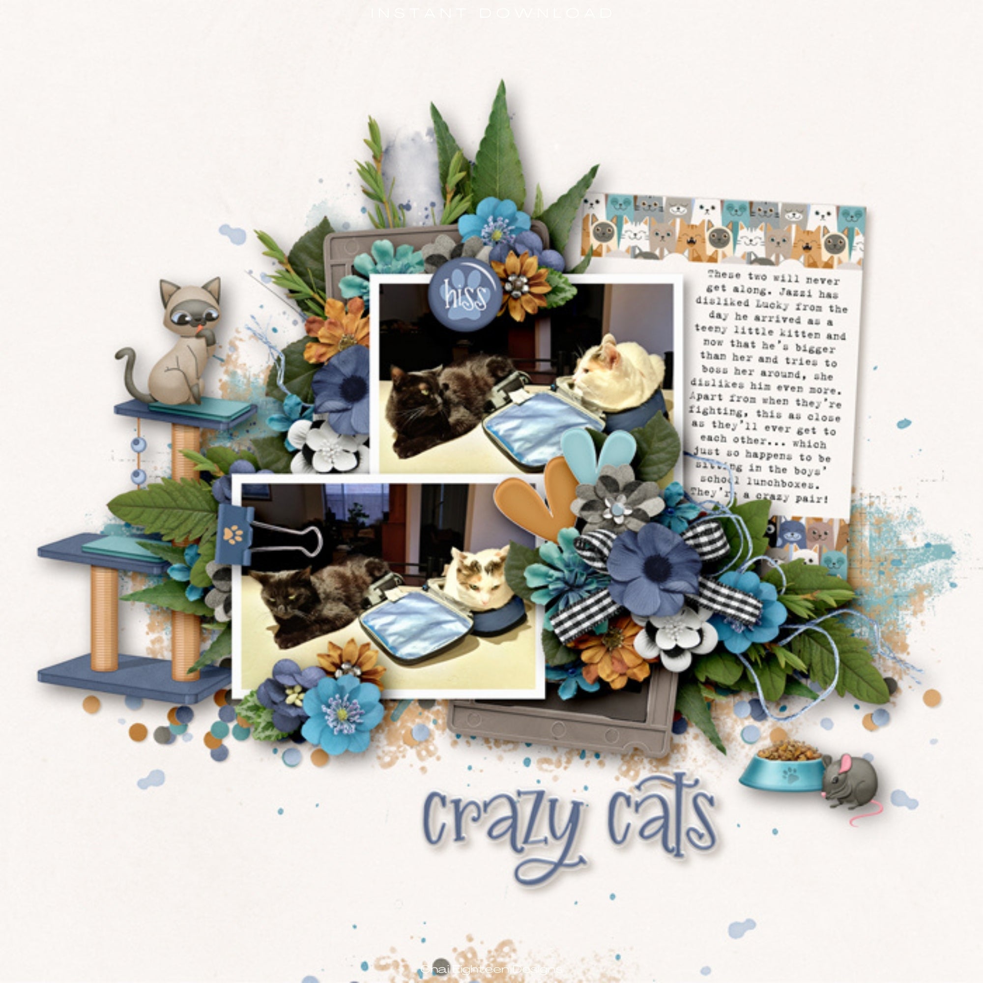 Cat Lover 12 x 12 Scrapbook Paper & Embellishment Kit by SSC Designs