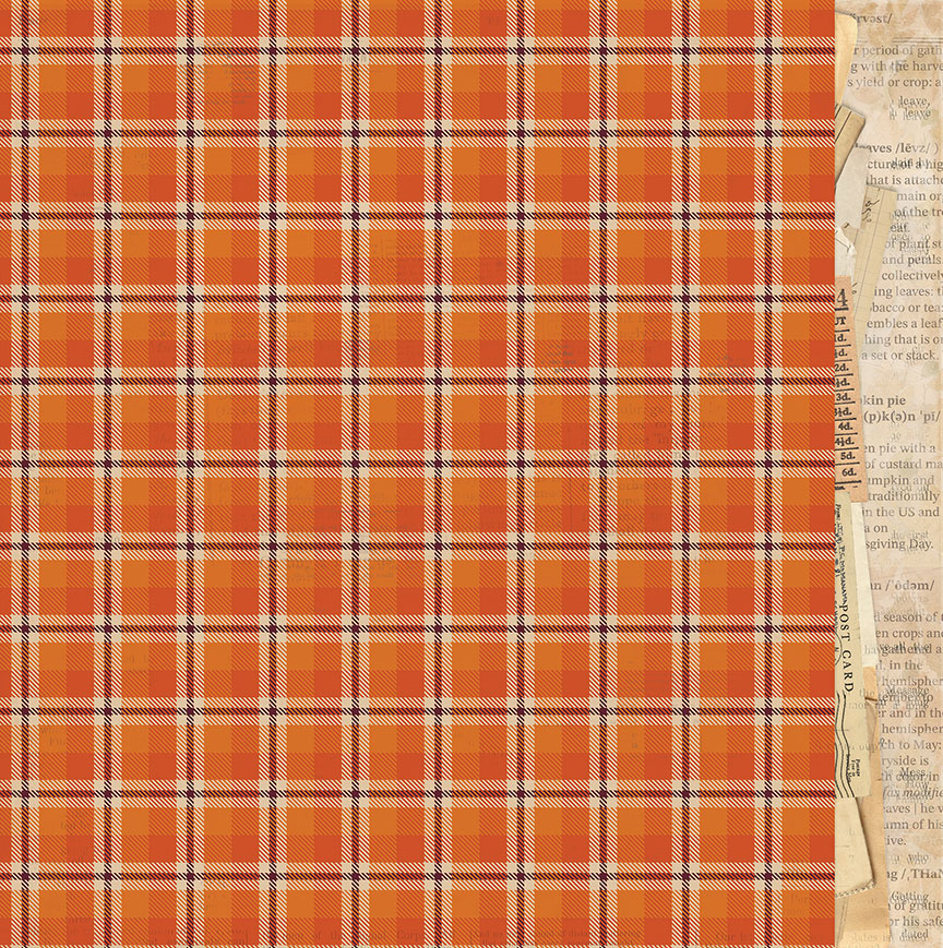 Autumn Junque Collection Harvest 12 x 12 Double-Sided Scrapbook Paper by Photo Play Paper