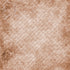 Alaska Collection Alaskan Bald Eagle 12 x 12 Double-Sided Scrapbook Paper by SSC Designs