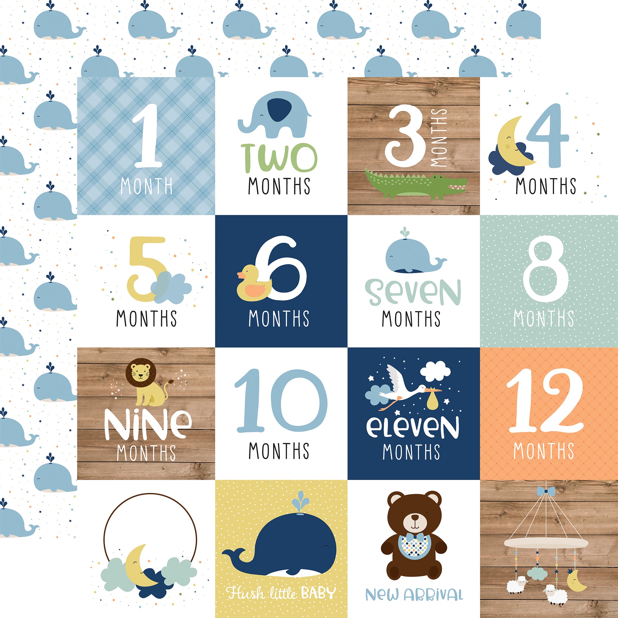 Baby Boy Collection Pack by Echo Park Paper 13-Piece Collection-12 Papers, 1 Sticker