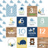 Baby Boy Collection Pack by Echo Park Paper 13-Piece Collection-12 Papers, 1 Sticker