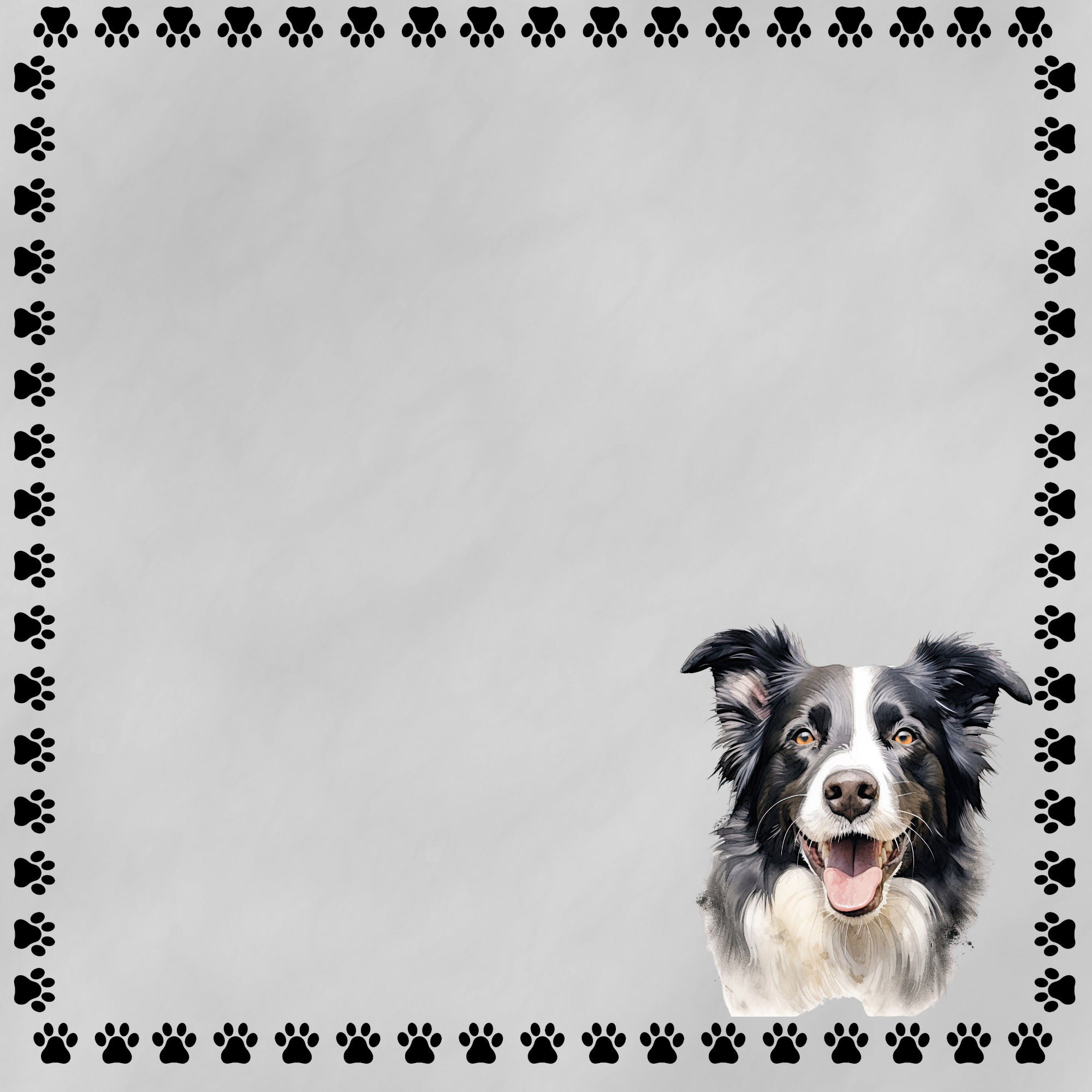Dog Breeds Collection Border Collie 12 x 12 Double-Sided Scrapbook Paper by SSC Designs